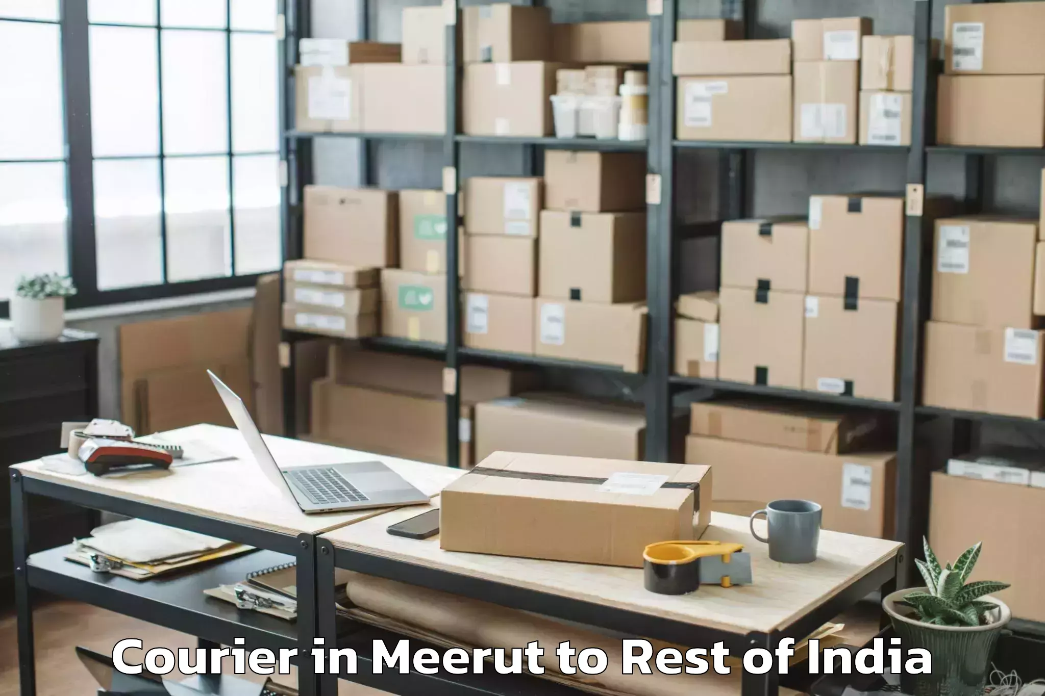 Reliable Meerut to Churela Courier